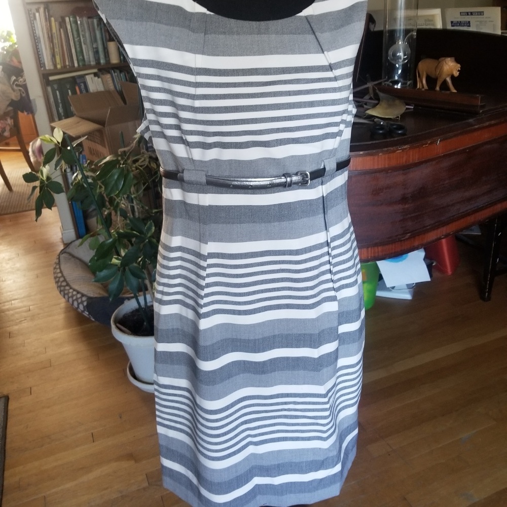 Size 12 Petite Professional Dress